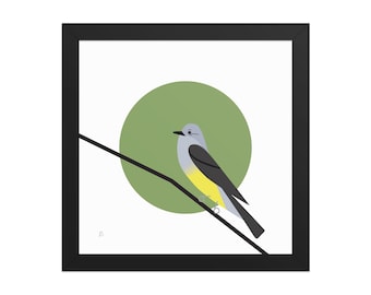 Tirano de Cassin - Impresión enmarcada de pájaro