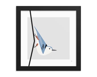 Trepador azul - Impresión enmarcada de pájaro