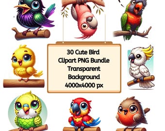 Skurrile Vögel Clipart: Lustiges Aquarell PNG (Kommerzielle Lizenz)