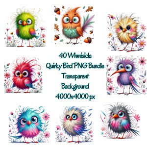 Skurrile Vögel Clipart, lustige Vögel digitale Clipart, Aquarell Clipart PNG, schrullig druckbare Vögel, hochwertige PNG, kommerzielle Lizenz