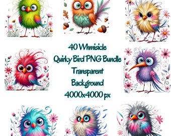 Skurrile Vögel Aquarell Clipart: Lustige PNG Bilder (Kommerzielle Lizenz)