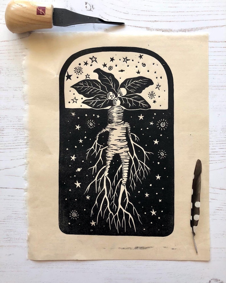 Mandrake mandragora officinarum Original hand pulled linocut image 4