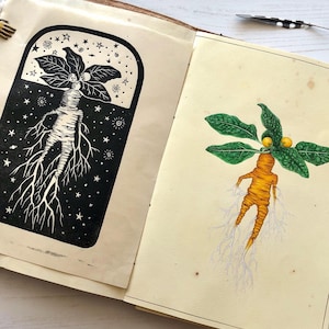 Mandrake mandragora officinarum Original hand pulled linocut image 3