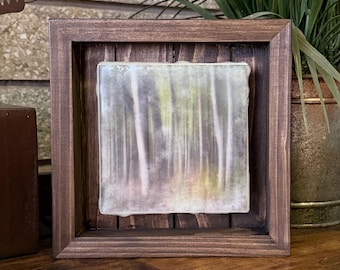 Birch Encaustic Photography, ICM (Intentional Camera Movement)