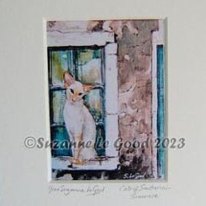 Può includere: Un gatto bianco con le orecchie arancioni è seduto su un davanzale guardando fuori da una finestra. La finestra è incorniciata di verde e l'edificio è dipinto in tonalità di rosa e marrone. L'immagine è intitolata "Window Gazing" e firmata "Suzanne Good 2023".