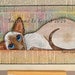 see more listings in the Siamese , Oriental Cats section