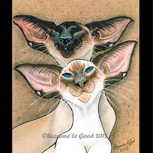 Cachet en gros caractères en édition limitée CHAT SIAMOIS, pointe de chocolat par Suzanne Le Good