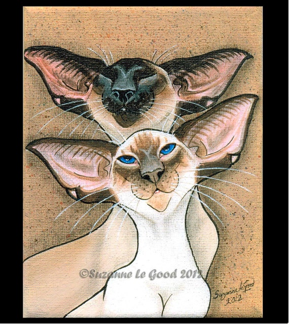 SIAMESE CAT Limited Edition large print sealpoint, chocolatepoint by  Suzanne Le Good - Main Image