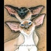 see more listings in the Siamese , Oriental Cats section