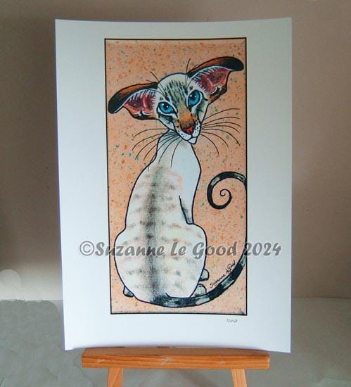 タビーポイント リンクスポイント シャム猫 大型アートプリント 限定版