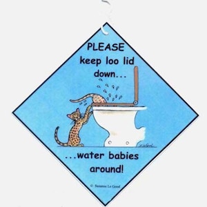 May include: A blue and white sign with a cartoon cat and toilet. The sign reads "PLEASE keep loo lid down... water babies around!"