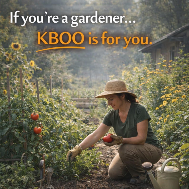 KBOO - 100% Original Ingredient | Soothing Balm | Organic | Calms Itchy Bites, Rashes | Hydrates Dry Skin | Australian Made image 6