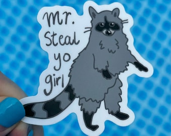Mr. Steal Yo Girl Raccoon vinyl sticker, raccoon, funny sticker, water bottle sticker, gift