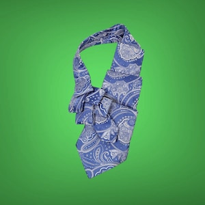 Blue Ascot - Paisley Cravat - Sustainable Fashion - Steampunk Ascot - Gift For Boyfriend - Jabot.