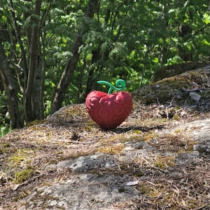 Peut inclure: Un fruit rouge en forme de cœur avec une tige verte en spirale, posé sur un rocher recouvert de mousse. Le fruit a une surface texturée avec un motif tourbillonnant. L'arrière-plan présente des arbres et du feuillage.