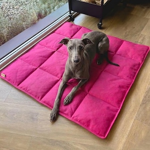 Könnte beinhalten: Eine quadratische, leuchtend pinke, gesteppte Haustiermatte mit einem gitterartigen Steppmuster. Ein grauer italienischer Windhund mit kurzem Fell und großen Ohren liegt in der Mitte der Matte, schaut nach vorne, den Kopf erhoben und die Augen auf die Kamera gerichtet.