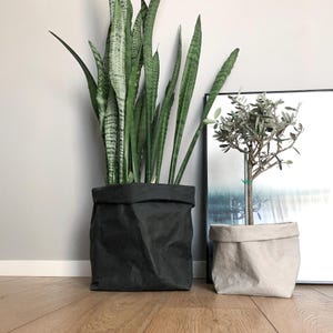 May include: A tall snake plant in a large, dark charcoal gray, flexible, folded-top fabric planter bag, positioned next to a smaller olive tree in a light beige, matching flexible, folded-top fabric planter bag on a wooden floor.