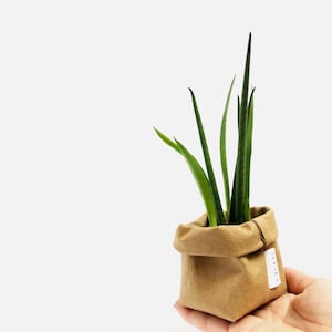 Washable Paper Bag Small Organizer For Home Tiny Storage Bag For Spices Mini Planter Eco Gift Bathroom Decor Modern Kraft Paper Bag