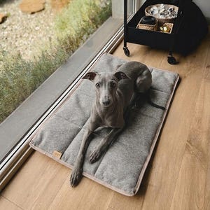 Moderne Reise-Haustiermatte, gesteppte Hunde-Rolldecke