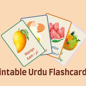 Printable Urdu to English Bilingual Flashcards - Food & Home Set