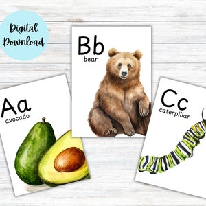 Cartes flash Alphabet nature, téléchargement numérique, cartes flash ABC nature imprimables, imprimés pour l'école à la maison, art mural pour chambre d'enfant, alphabet imprimable