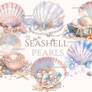 Paquete de 19 imágenes prediseñadas de conchas marinas, imágenes prediseñadas de playa, paquete JPG, imágenes prediseñadas de cumpleaños y bodas, diario basura, scrapbooking, uso comercial, gráficos digitales