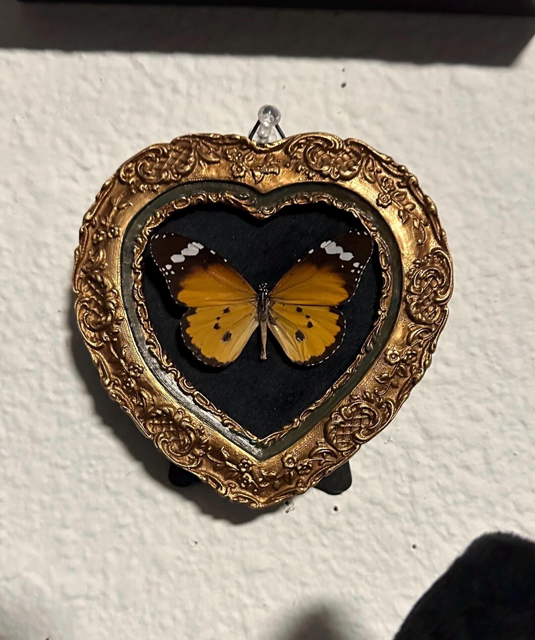 Real Pinned Butterfly in 3x3 Heart Shaped Frame - Etsy