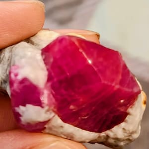 May include: A large, deep red ruby crystal embedded in a white, rough matrix. The ruby has a sharp, faceted shape and is partially covered by the matrix.
