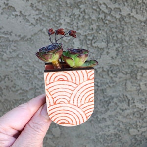 Mini Succulent Magnet Pot, Magnet Plant Holder, Planter Magnet, Succulent Magnets for Fridge, Air Plant Magnet, Air Plant Holder Magnet image 2