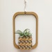 see more listings in the Air Plant Decor  section