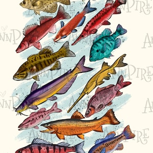 Fish Sublimation Design PNG, Fishing, Vintage Nautical Fish, Fish Clipart, Hand Drawn, Digital Downloаd