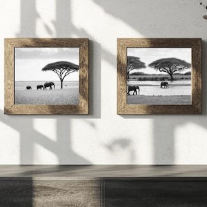 Black and White Elephant Photography Prints | African Wildlife Wall Art | Minimalist Safari Animal Decor | Nature Landscape Poster