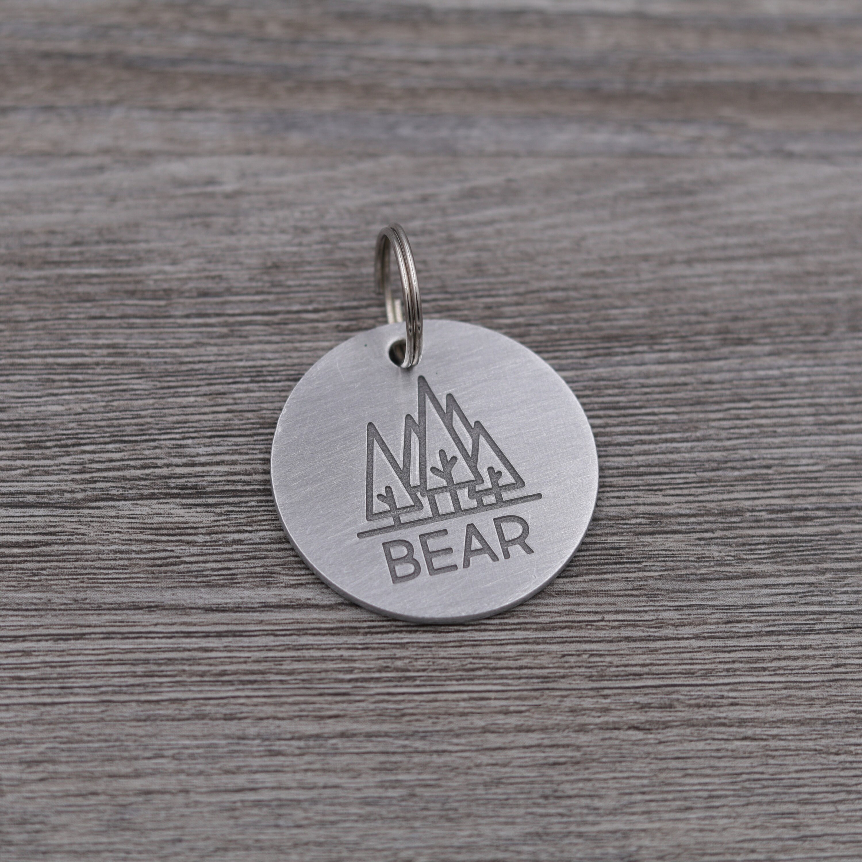 silver dog tags for pets