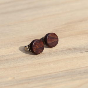May include: A pair of dark brown wood stud earrings with silver posts.