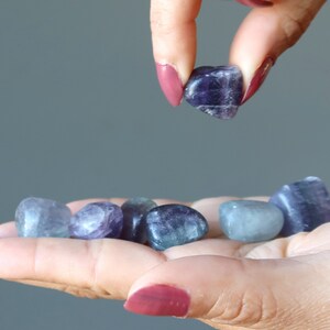 Fluorite Tumbled Stones Enchanted Meditation Focus Crystal