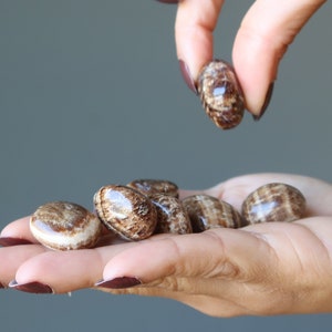 Aragonit-trumlade stenar, nötbruna jordkristaller