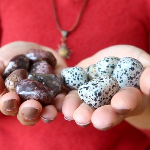 Jasper Tumbled Stone Set Animal Power Dalmatian Leopard