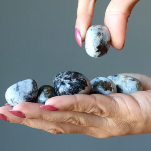 Chalcopyrite Snow Quartz Tumbled Stones Silver Gold Gems