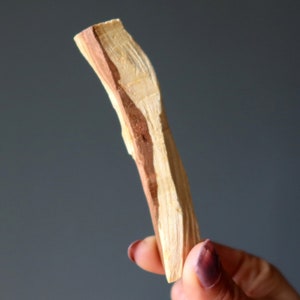Palo Santo Wood Wand Home Cleansing Smoke Stick