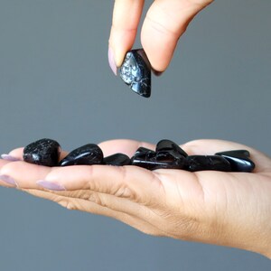 Black Tourmaline Tumbled Stone Set Good Guardian Gems