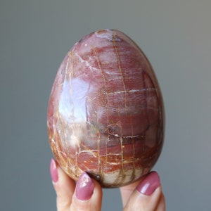 Petrified Wood Egg Timeless Strength Red Brown Crystal