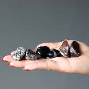 Root Chakra Tumbled Stone Set Agate Onyx Petrified Wood