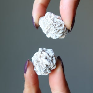 Selenite Desert Rose Raw Crystal Set Earth's Beauty is Here Gems