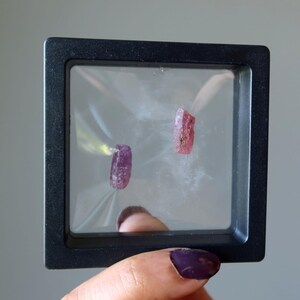以下が含まれることがあります： 黒いフレームの透明なプラスチックケースの中に、2つの粗いピンクと紫の宝石が展示されています。宝石は結晶構造を持ち、ピンクと紫のさまざまな色合いがあります。ケースは、濃い紫色のマニキュアを塗った人が持っています。