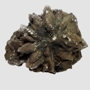 May include: A cluster of brown, pointed mineral crystals arranged in a star-like formation. The surface of the stone features a textured, earthy appearance with small, translucent, clear crystalline points scattered across the edges and tips.
