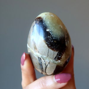 Septarian Egg Dragon Strength Stone Yellow Calcite Success
