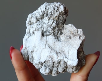 Howlite Raw Kristall Brainiac Smart New Start White Rock