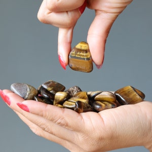 Tigers Eye Tumbled Stones Golden Guardian Crystals