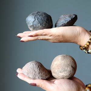 May include: Four natural stones of varying shapes and colors are displayed. Two dark gray, textured stones are held in one hand, while two lighter brown stones are held in the other. The stones have a rough, organic appearance.
