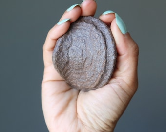 Piedra chamánica nativa de Moqui Marble Wise Walnut Tough Protector